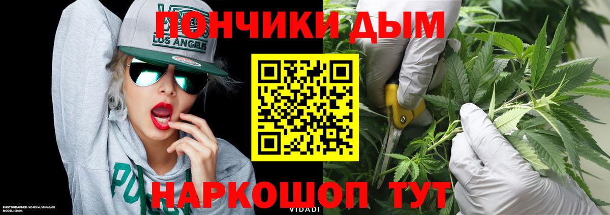 Канабис семена Бугуруслан